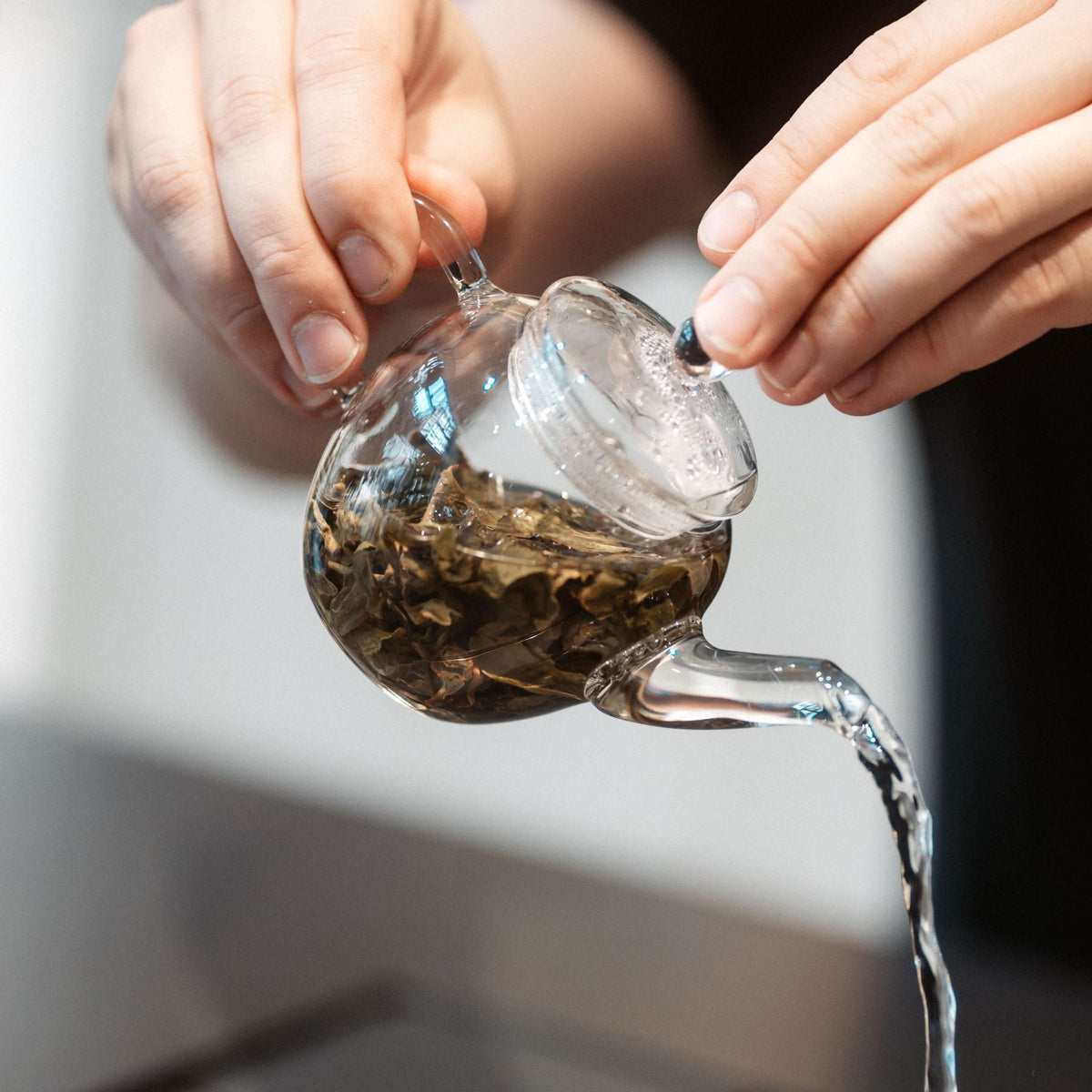 Transparenter Glaskessel mit Teeblättern wird von Händen gehalten, während Tee eingegossen wird.
