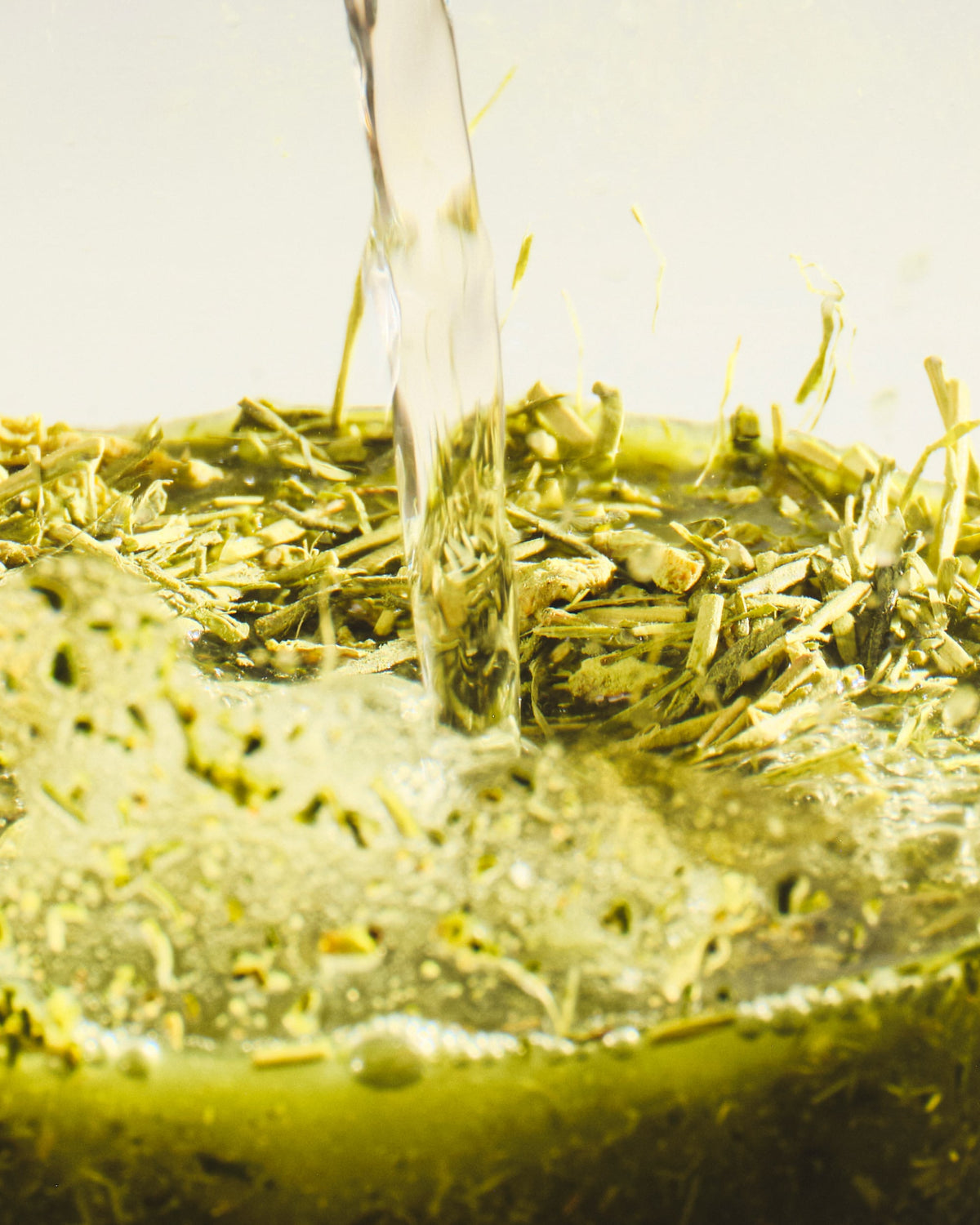 Klares Wasser wird auf grüne getrocknete Kräuter mit kleinen Sticks gegossen, erzeugt Blasen.