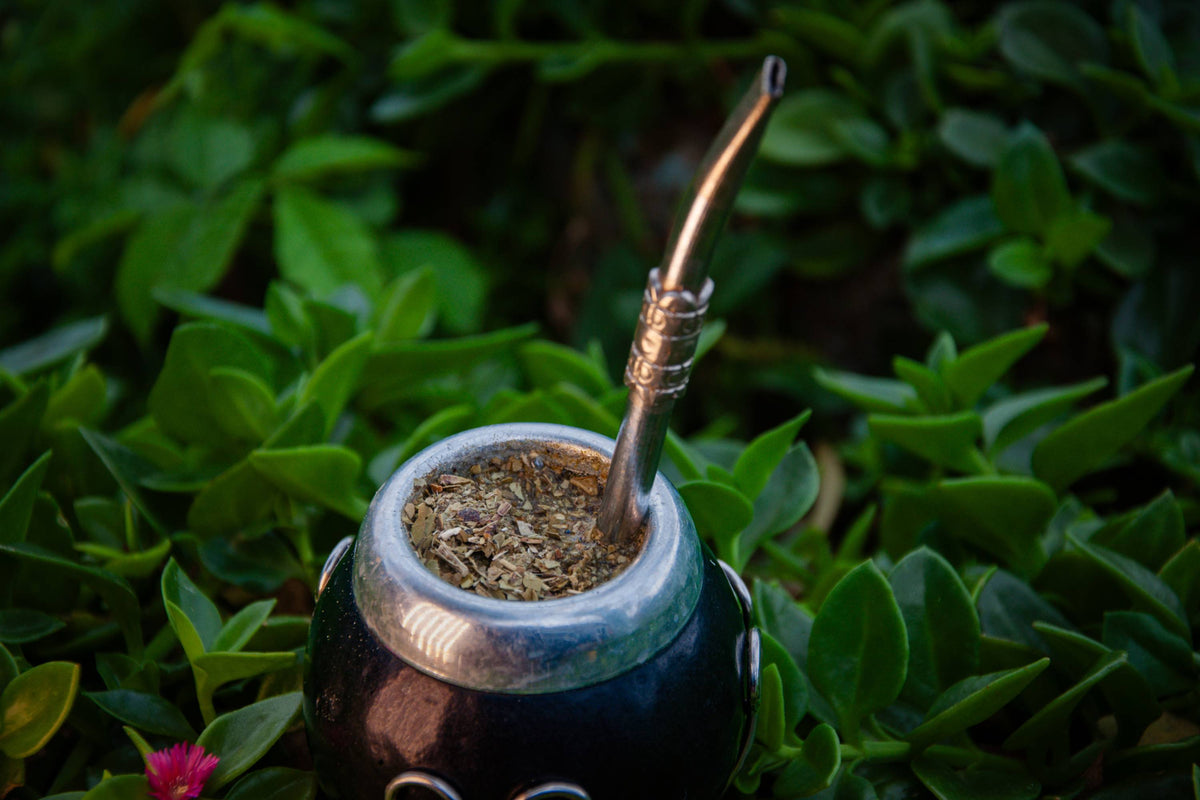 Traditionelles Mate-Gefäß mit Bombilla