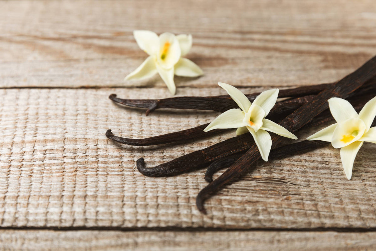 Bourbon Vanilleschoten mit Vanilleblüten