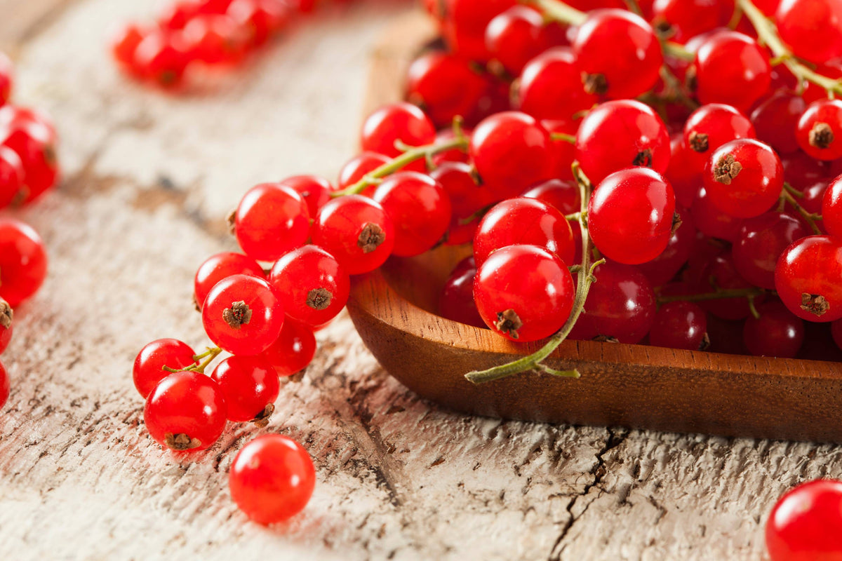 Rote Johannisbeeren auf Tisch