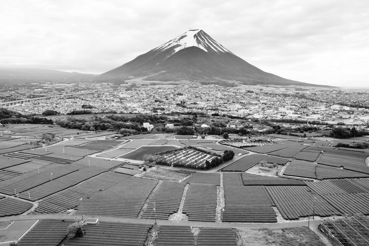 Luftaufnahme des japanischen Gebirges Fuji und Felder im Vordergrund