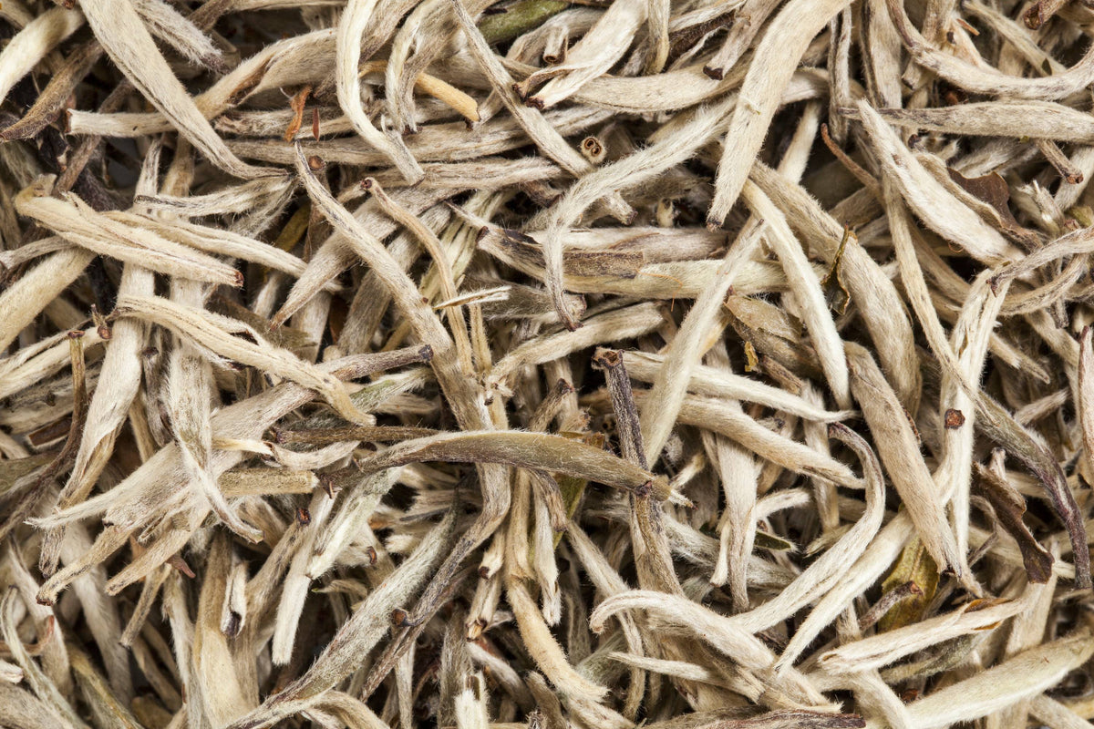 Nahaufnahme getrockneter wolliger Teeknospen in beige und hellbraun