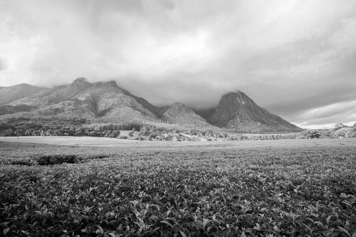 Landschaft mit Bergen in Malawi