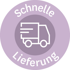 Weißer Lieferwagen mit Bewegungslinien und 'Schnelle Lieferung' Schriftzug in lila Kreis