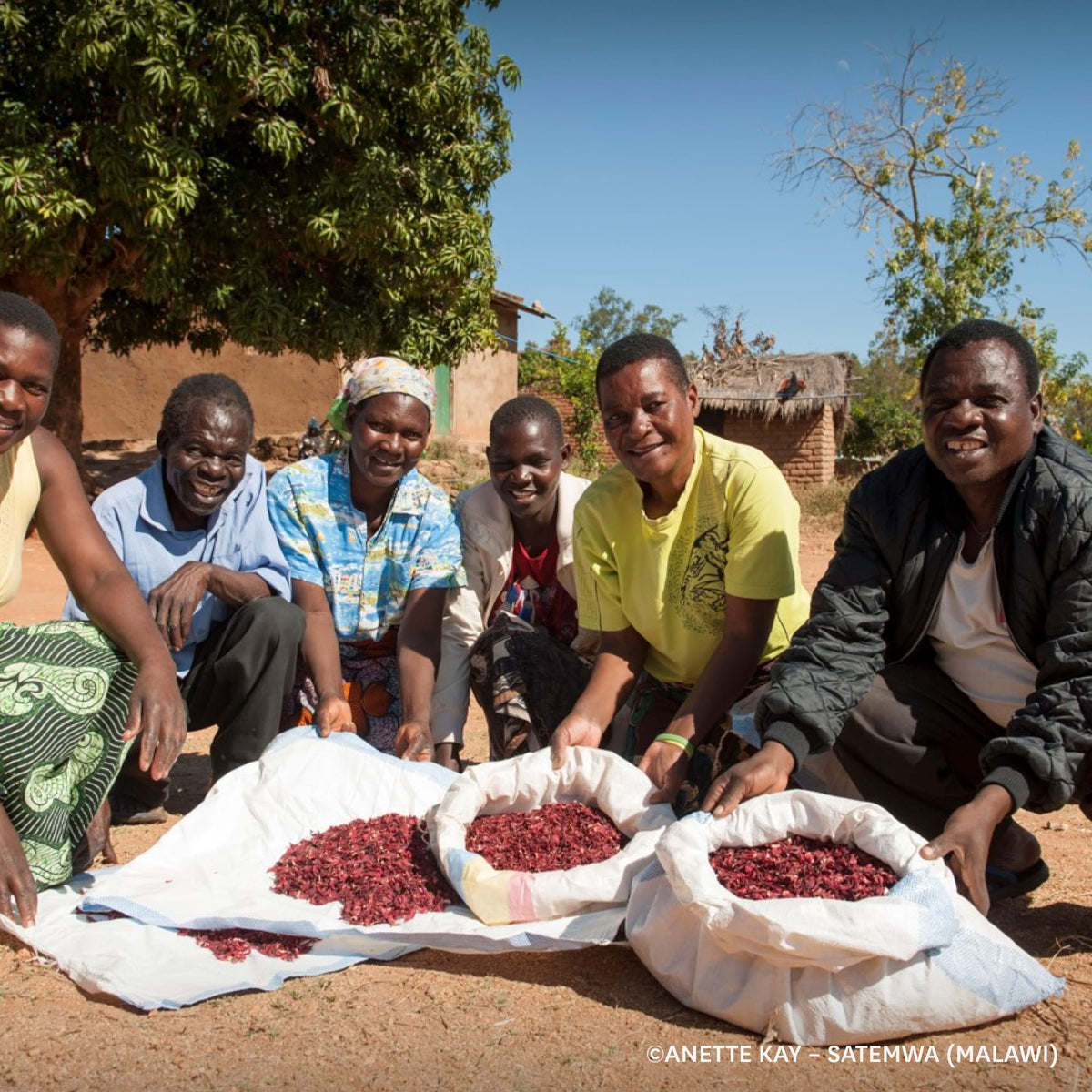 Sechs Personen in bunter Kleidung vor Säcken mit getrockneten Hibiskusblüten in einem malawischen Dorf.