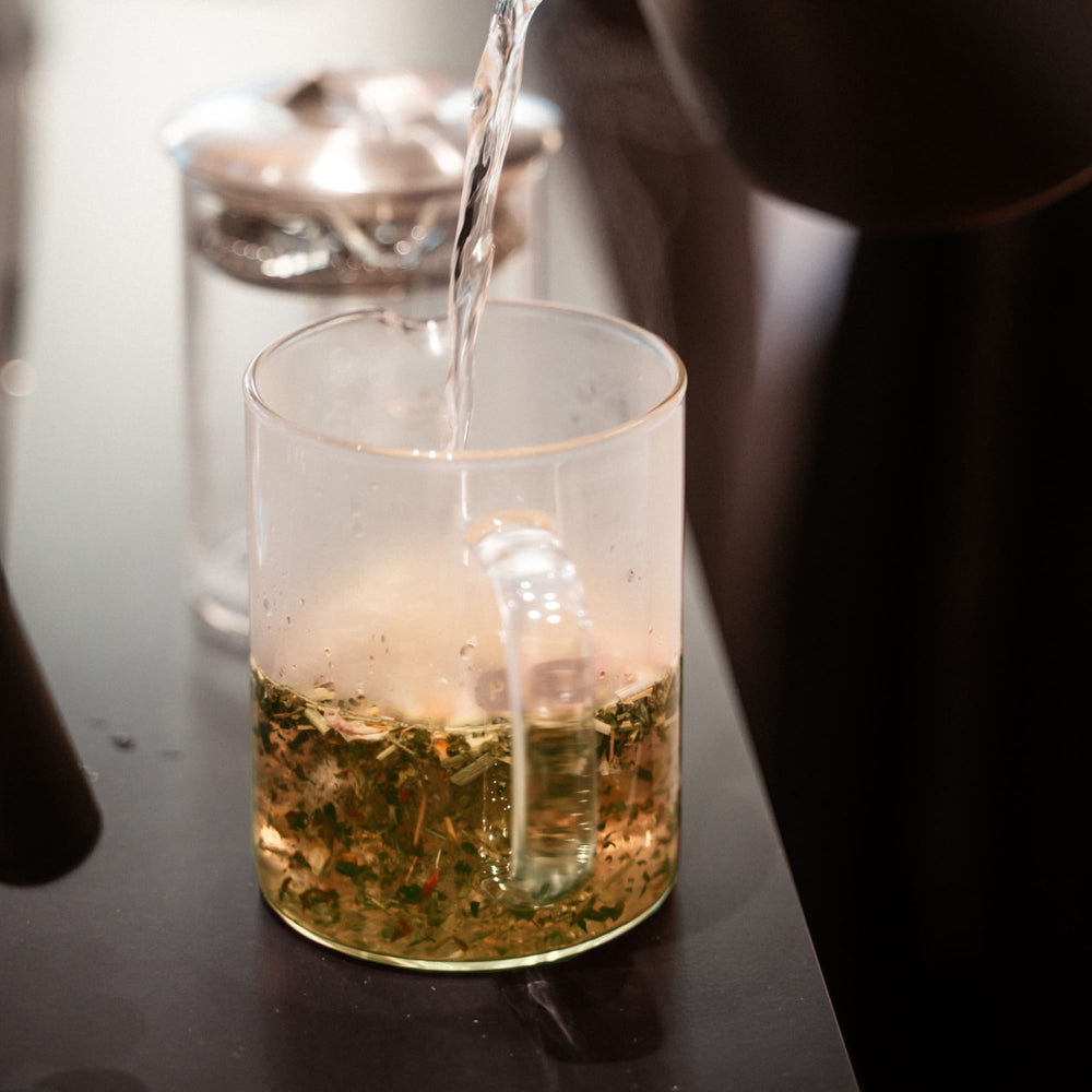 Transparenter Glasmug mit dampfendem Kräutertee vor unscharfem French Press auf dunklem Tisch