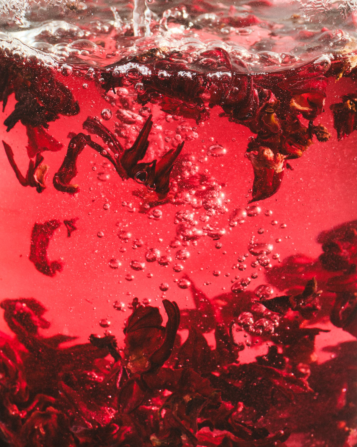 Leuchtend roter Kräutertee mit getrockneten Blütenblättern, detailreiche Nahaufnahme