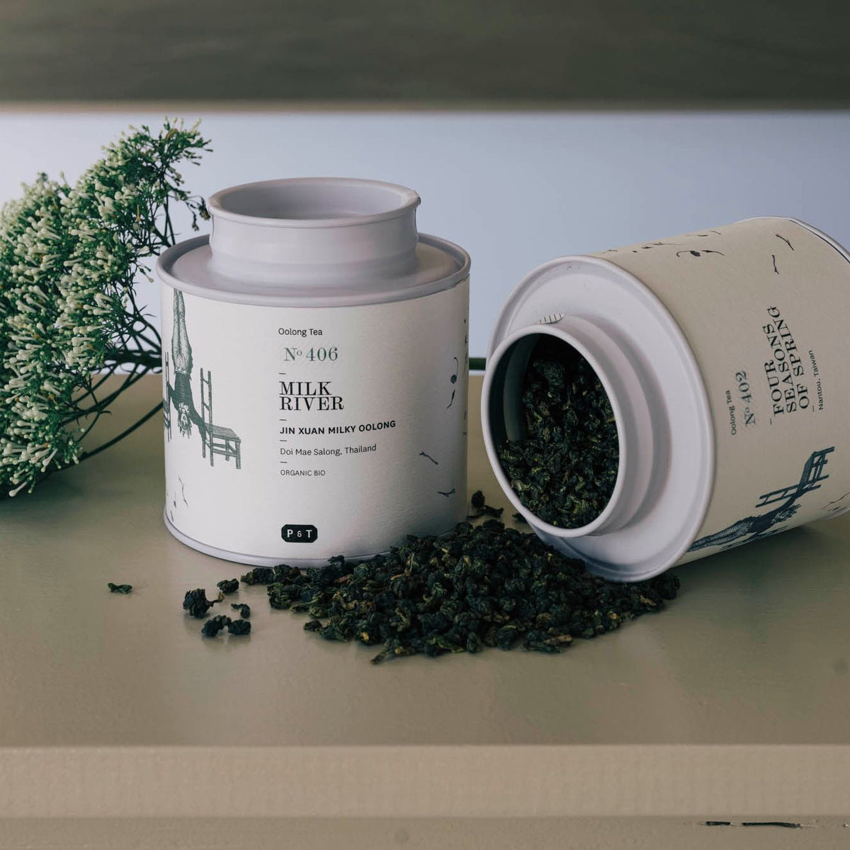 Zwei cremefarbene Oolong-Teedosen mit Bio-Siegel, geöffnete Dose mit dunklen Blättern, weiße Blumen-Deko